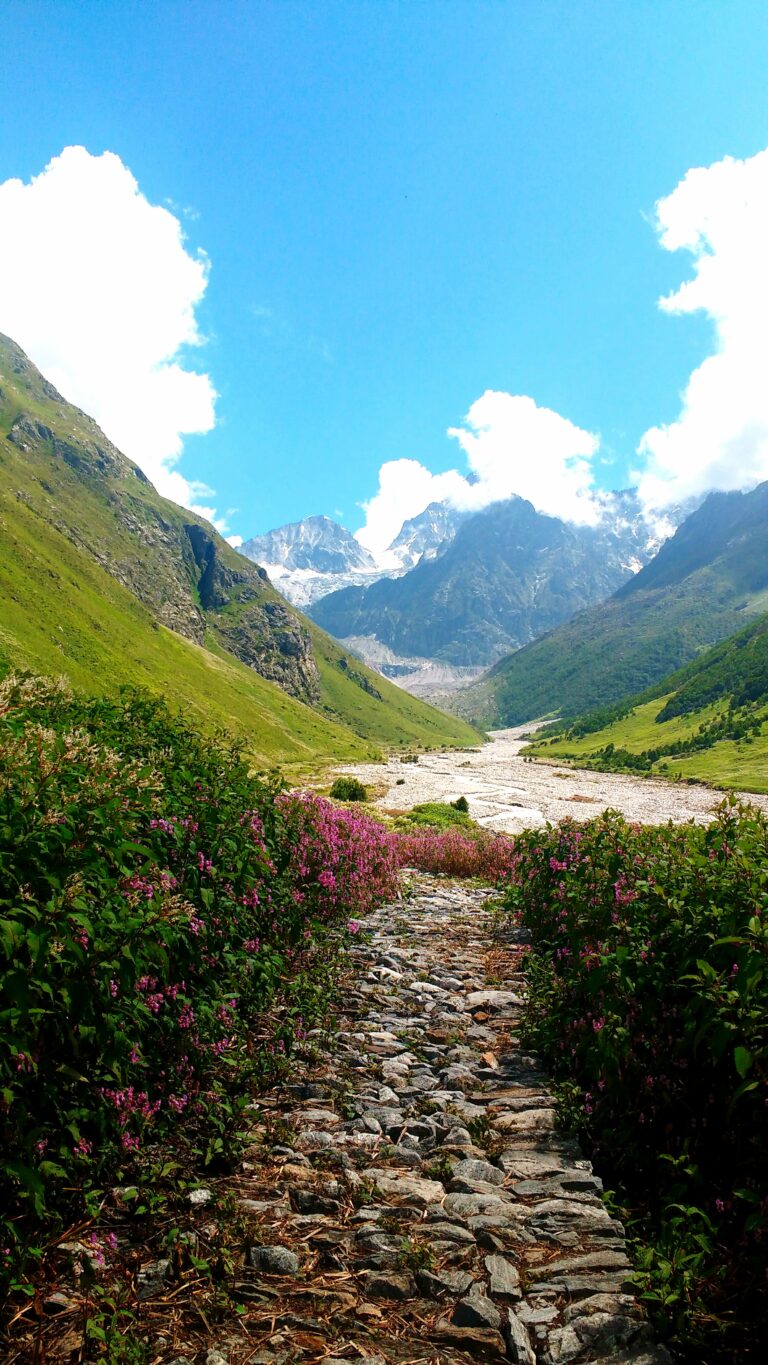 valley of flowers 44